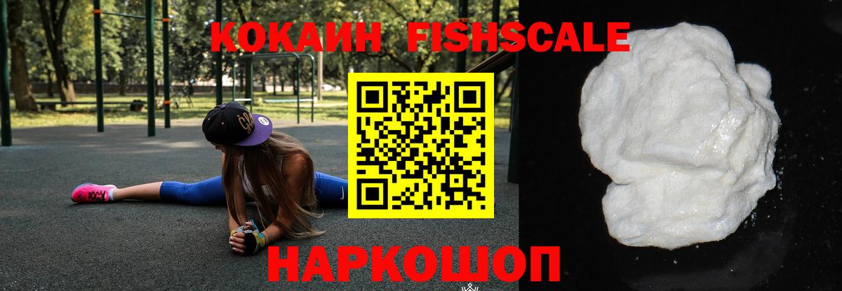 Cocaine Fish Scale  COCAIN  Шуя  Вход с VPN  Cocaine VHQ 
