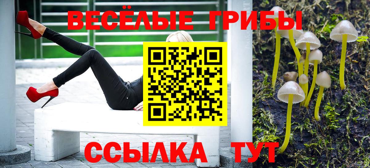 Галлюциногенные грибы мухоморы Шуя