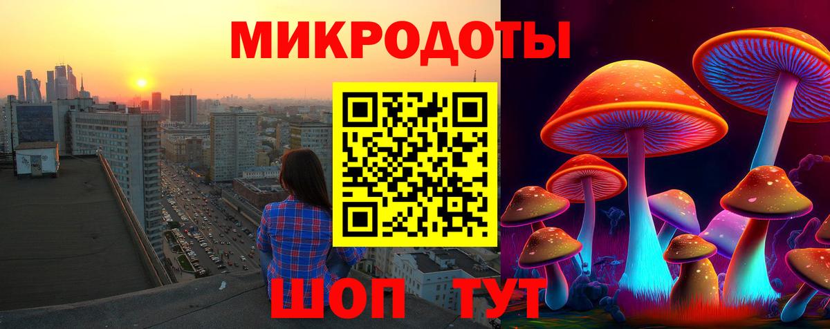 Псилоцибиновые грибы Cubensis  Вход с VPN  Шуя 
